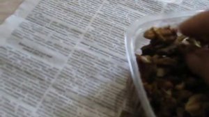 Как хранить грецкий орех