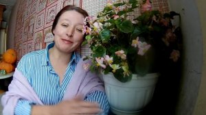 ПТИЦА  ! КУРЫ . Порода Загорская лососевая))