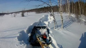 На мотособаке в пухляк по болоту