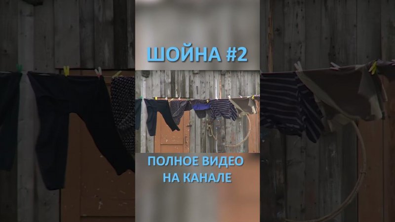 ШОЙНА 22