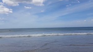 Рыбу неводом ловят