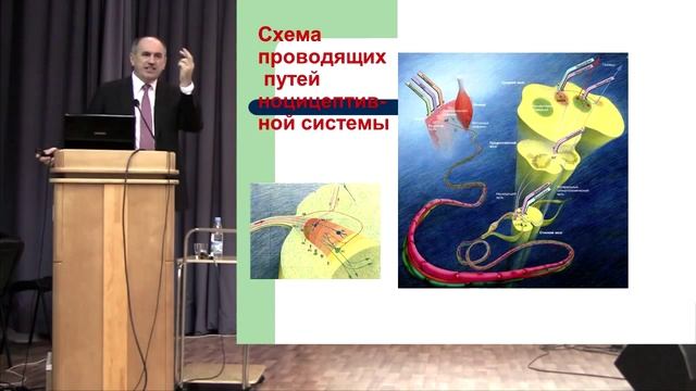 ДЭНАС и физиотерапия боли. Профессор Г. Н. Пономаренко