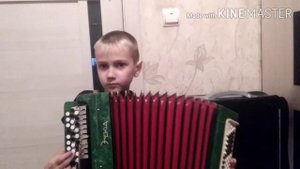 Тонкая рябина на баяне
