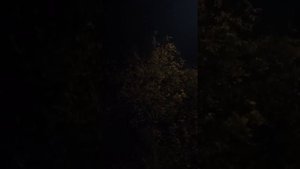 64. Бездушные дети ЭКО! Когда ДУША входит в тело?