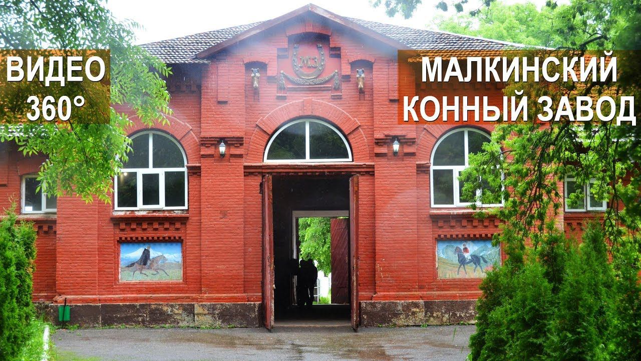♞ Агроэкспедиция в Кабардино-Балкарию.  Малкинский конный завод. Панорамное видео 360° 4K