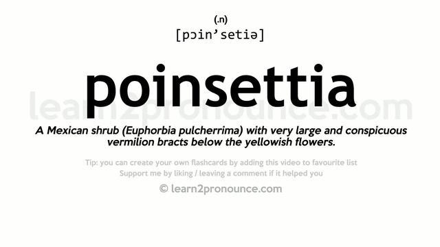 Pronunciation of Poinsettia | Definition of Poinsettia смотреть онлайн