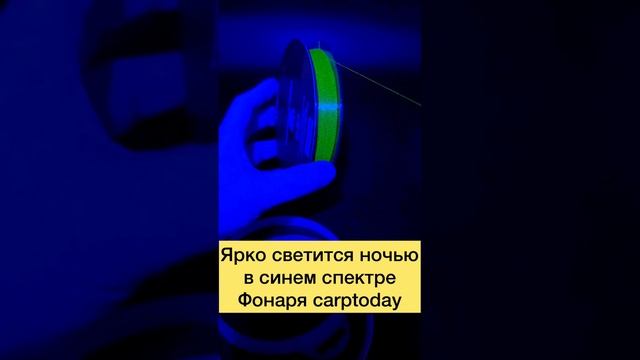 БЮДЖЕТНАЯ РЫБОЛОВНАЯ ЛЕСКА на КАРПА с ОТЛИЧНЫМИ ХАРАКТЕРИСТИКАМИ!  #ловлякарпа #short #карпфишинг