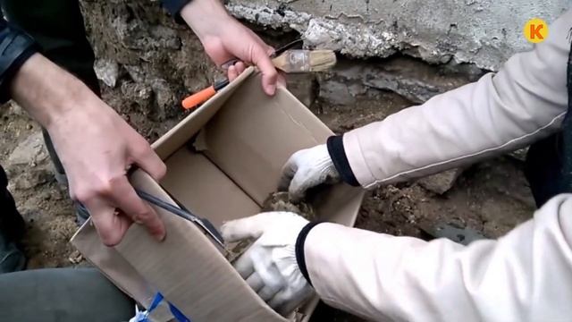 НАШЁЛ ДРЕВНЕЕ ЗОЛОТО !!! ПОВЕЗЛО ТОЛЬКО ЕМУ !!! смотреть онлайн