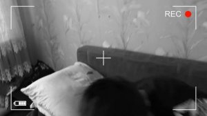 Как приготовить плов? (Узбекский)