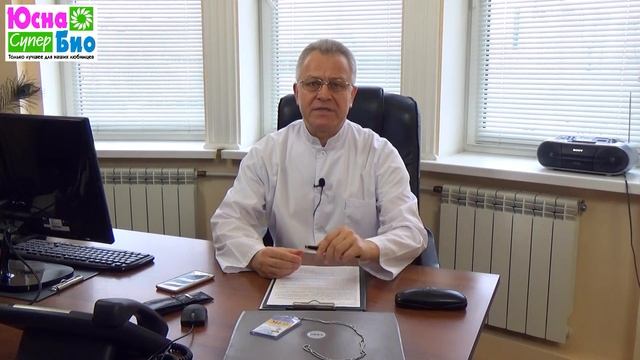 Кормить собаку натуралкой, сухим кормом или комбинировать? - Выбор зависит от кошелька и времени