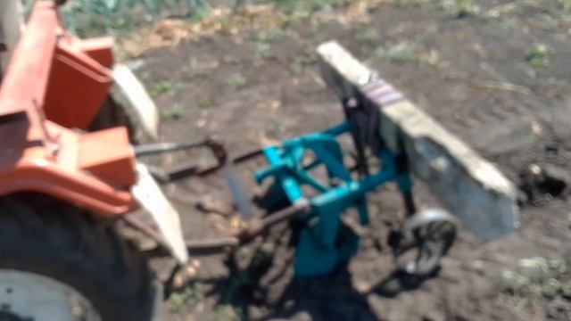 копаю чеснок картофелекопалкой