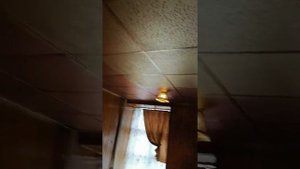 закончена покраска подвесного потолка типа "Армстронг". Кошкина труба на потолке.