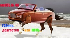 меСТЬ № 48 - Газель дергается как конь /проверяем свечные колпаки .