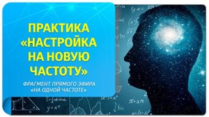 Практика управления эмоциями "Настройка на новую частоту". Фрагмент прямого эфира "На одной частоте"