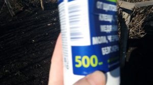 Первая весенняя обработка смородины и крыжовника