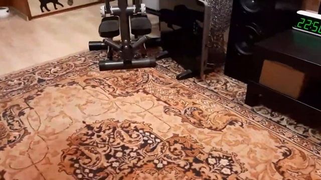 #пароочиститель наша любимая собака смотреть онлайн