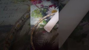 Ремонт лампы освещения холодильной витрины. часть 1.?