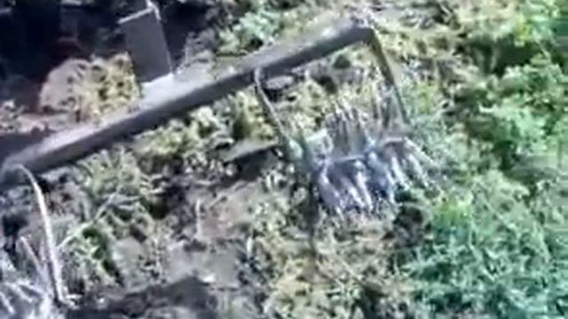 Прополка клубники мотоблоком