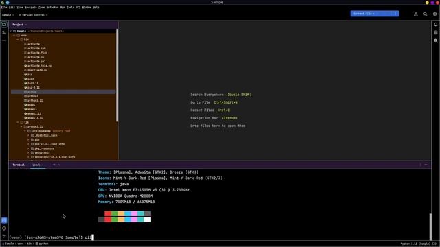 Python Virtual Environments