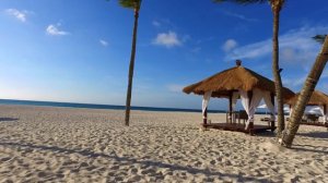 The Best Hotel in Aruba Bucuti & Tara Beach Resort