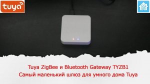 Наверное самый маленький Zigbee и Bluetooth шлюз для умного дома Tuya TYZB1