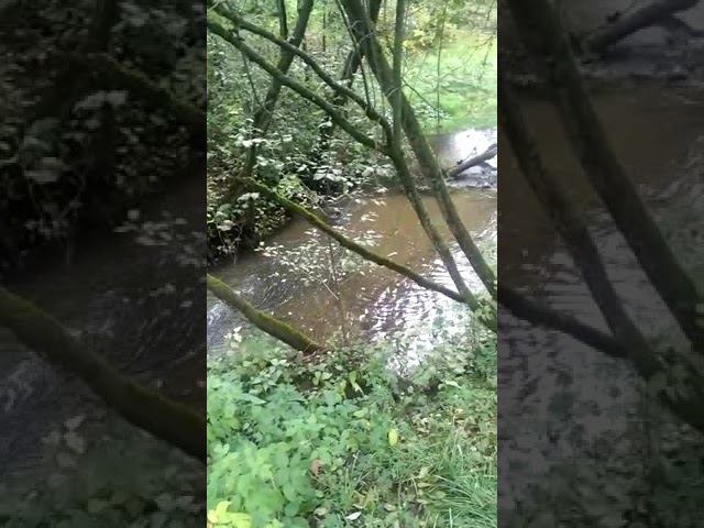 22 сентября 2022 г. смотреть онлайн