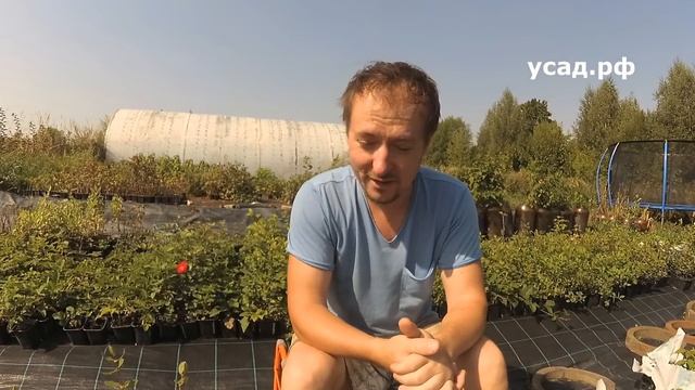Теперь и вы узнаете это про ЖИМОЛОСТЬ