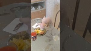 Эльф и канадский сфинкс