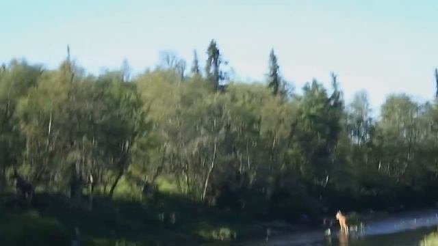 Архангельск Кольский полуостров Зимний берег Архангельск