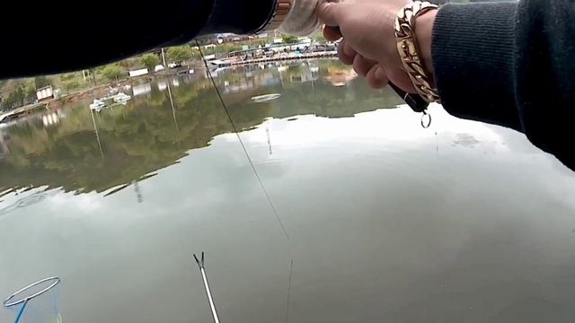 #ЛОВЛЯ#САЗАНА#잉어낚시# смотреть онлайн