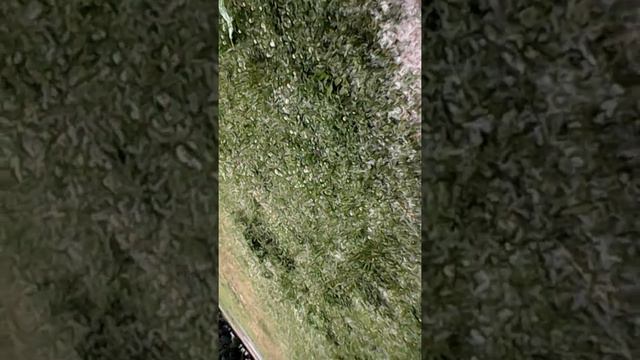 Как починить телефон смотреть онлайн