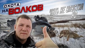 охота на ВОЛКОВ! трудовой ВОЛК!