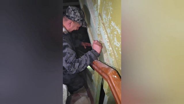 Путешествие в Дальние Зеленцы 2023