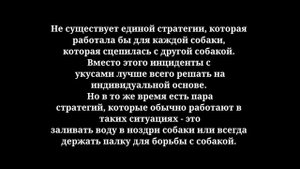 Кангал против Питбуля! Вот что происходит, когда хозяин неопытный.