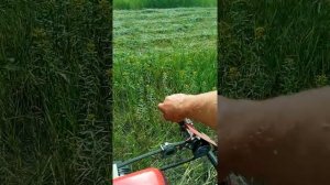 МОТОБЛОК АВАНГАРД