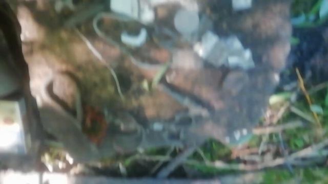 #шурф #самовар Ого краник от самовара, монеты. смотреть онлайн