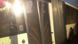 141 автобус по спб