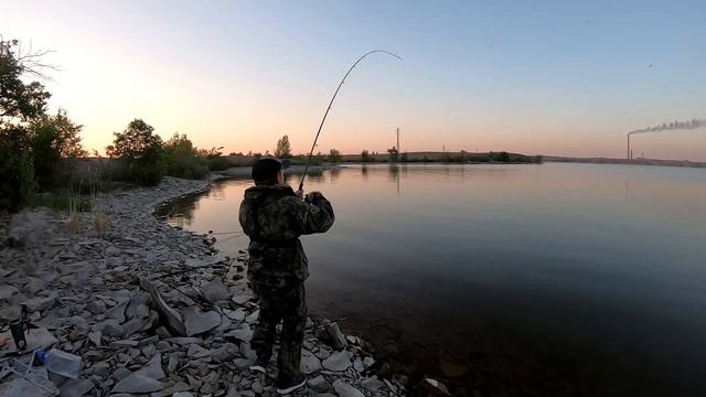 О ЧУДО НАКОНЕЦ ТО ПАРОВОЗ! РАДИ ЭТОЙ ПОКЛЕВКИ СТОИЛО СЮДА ЕХАТЬ! смотреть онлайн