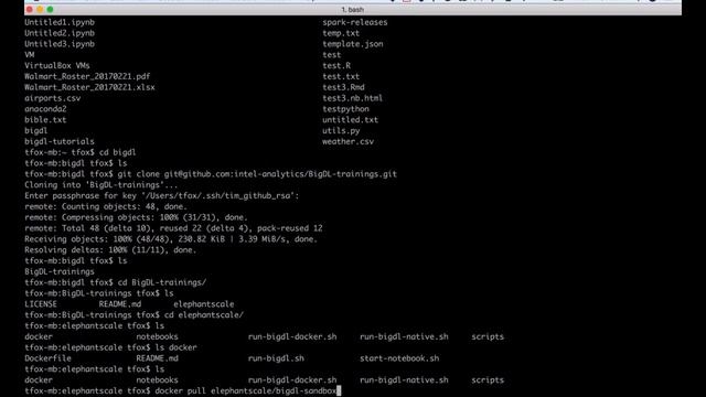 BigDL TUtorial 1 BigDL Introduction and Installation смотреть онлайн