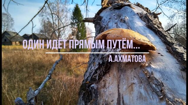 А Ахматова Один идёт прямым путём #философскаялирика #поэтыCеребряноговека смотреть онлайн