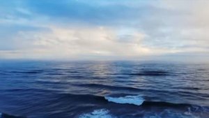 Солнце в знаке РЫБЫ. Как влияет на человека и его судьбу?!