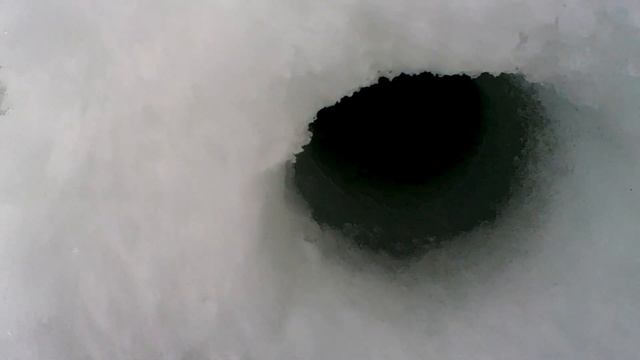 ЕЛЕ СМОГ ДОСТАТЬ ОГРОМНОГО СУДАКА | 5 ДНЕЙ НА РЫБАЛКЕ | ДЕНЬ 5 смотреть онлайн