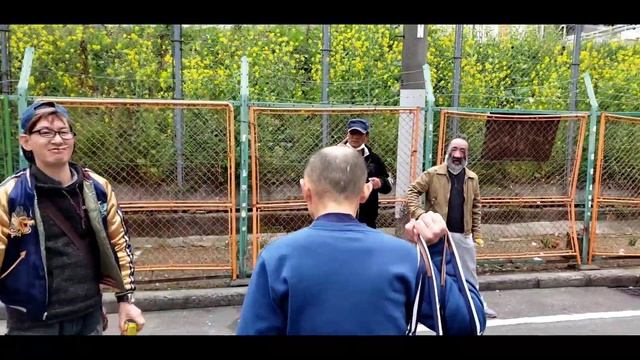 Застряли в Японии.Настоящий якудза.Источники.Парк Нара.Другая Япония.