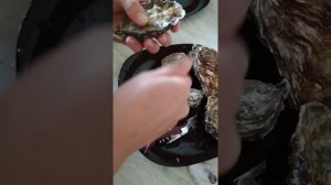 Как открыть устрицы,открытие устрицы первый раз,как открыть устрицы новичкам