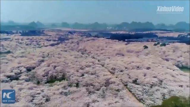 Су Маньшу "Вірші про минуле".