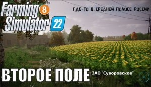 Farming Simulator 22 (Суворовское) - Второе поле