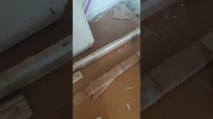 как найти лагу в полу под двп