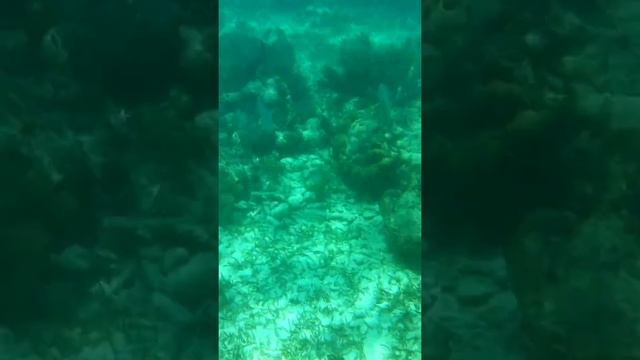 подводный мир канкун смотреть онлайн