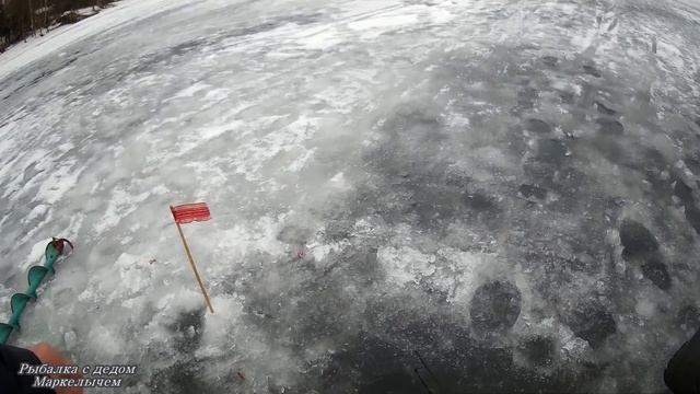 Рыбалка на Истринском водохранилище в январе 2020. Хороший подлещик на поплавок.