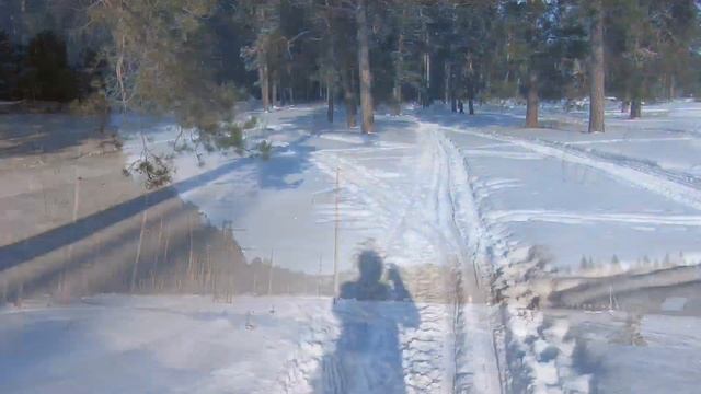 Алтай. Сказочный лес? смотреть онлайн